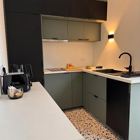 Maison Individuelle Avec Jardin Terrasse Proche Lyon Croix Rousse * Caluire-et-Cuire